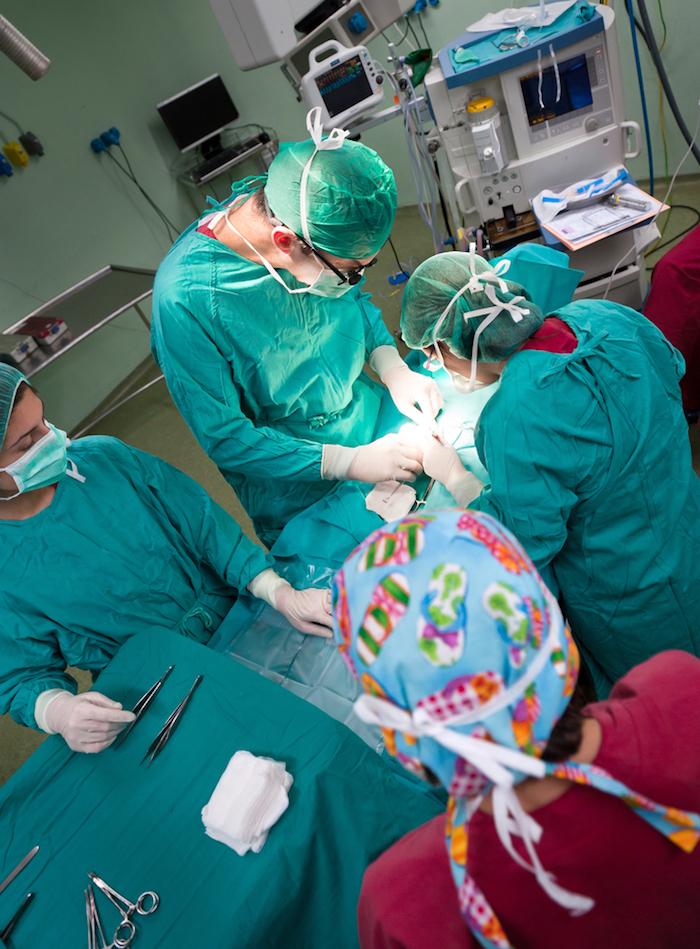 Première mondiale : des médecins posent un pacemaker in utero 