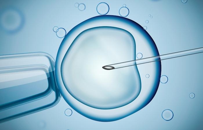 Fécondation In Vitro : lien établi entre vitamine D et taux de réussite