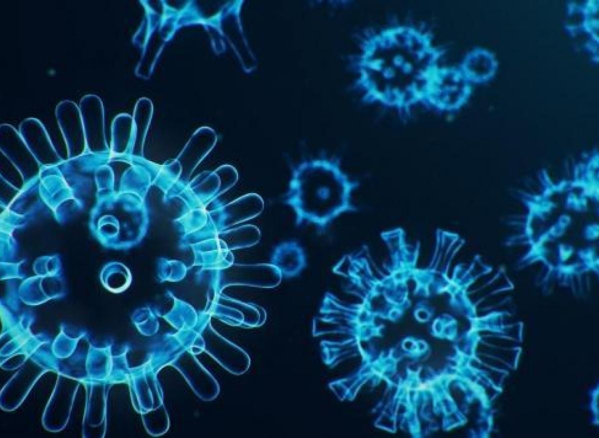 Coronavirus : le SARS-CoV-2 serait d'origine naturelle d'après les chinois