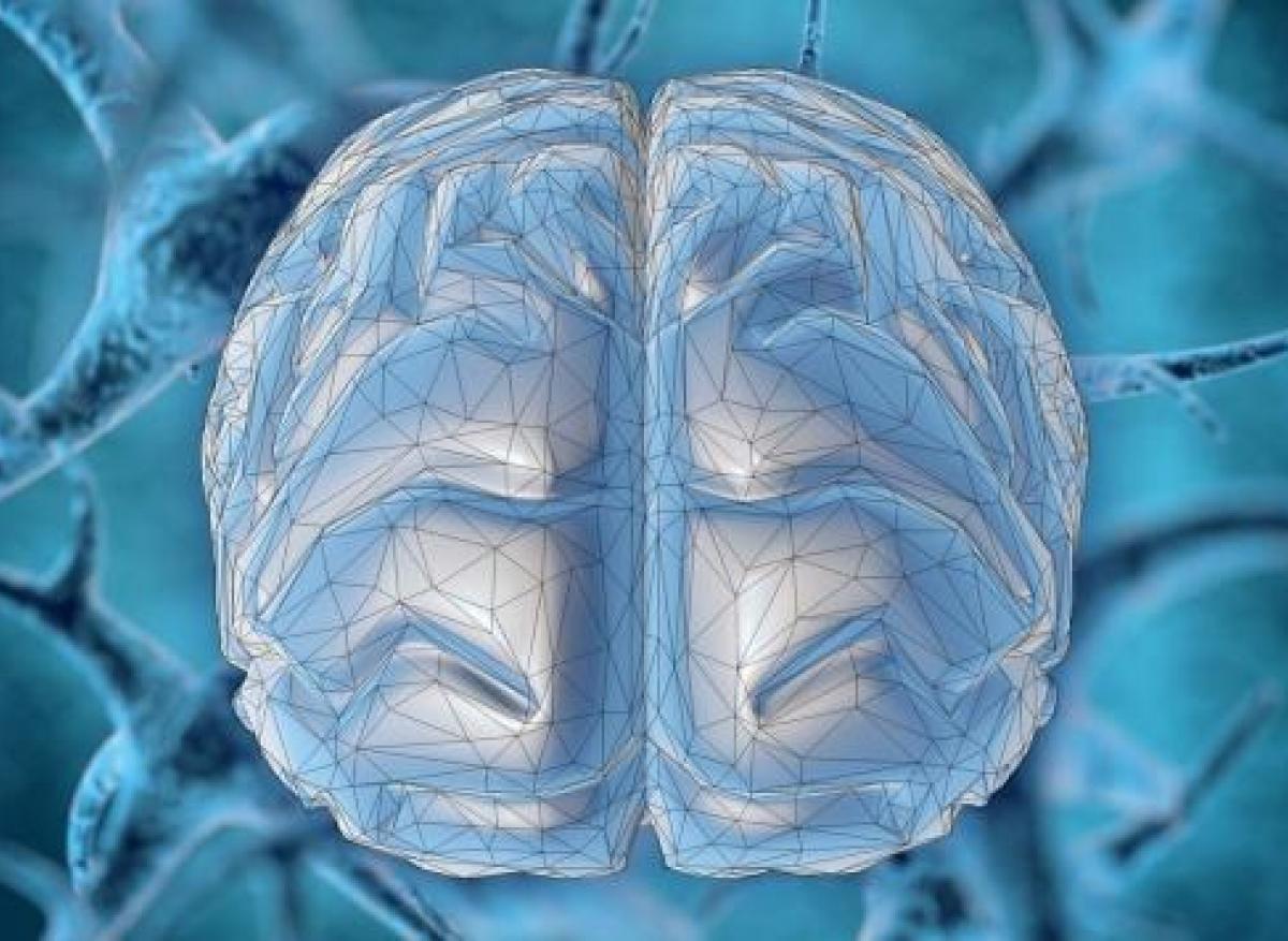 NeuroCovid : les trois étapes d'atteinte du système nerveux 