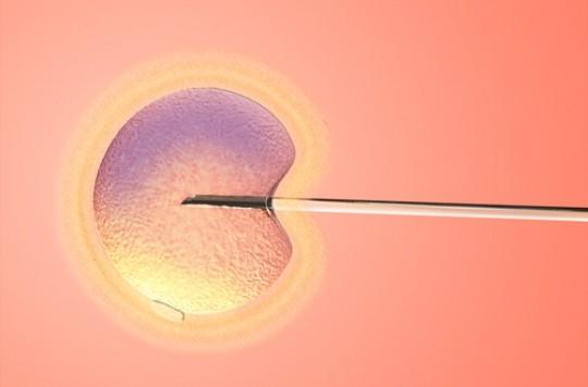 FIV : moins d'anomalies pour les naissances après 40 ans qu'en cas de grossesse naturelle