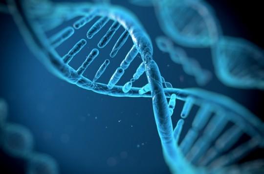 Traitements ciblés : intérêt d’un test génétique à 46 gènes 