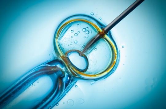 Maladie génétique : deux ovules et 3 ADN pour un seul bébé