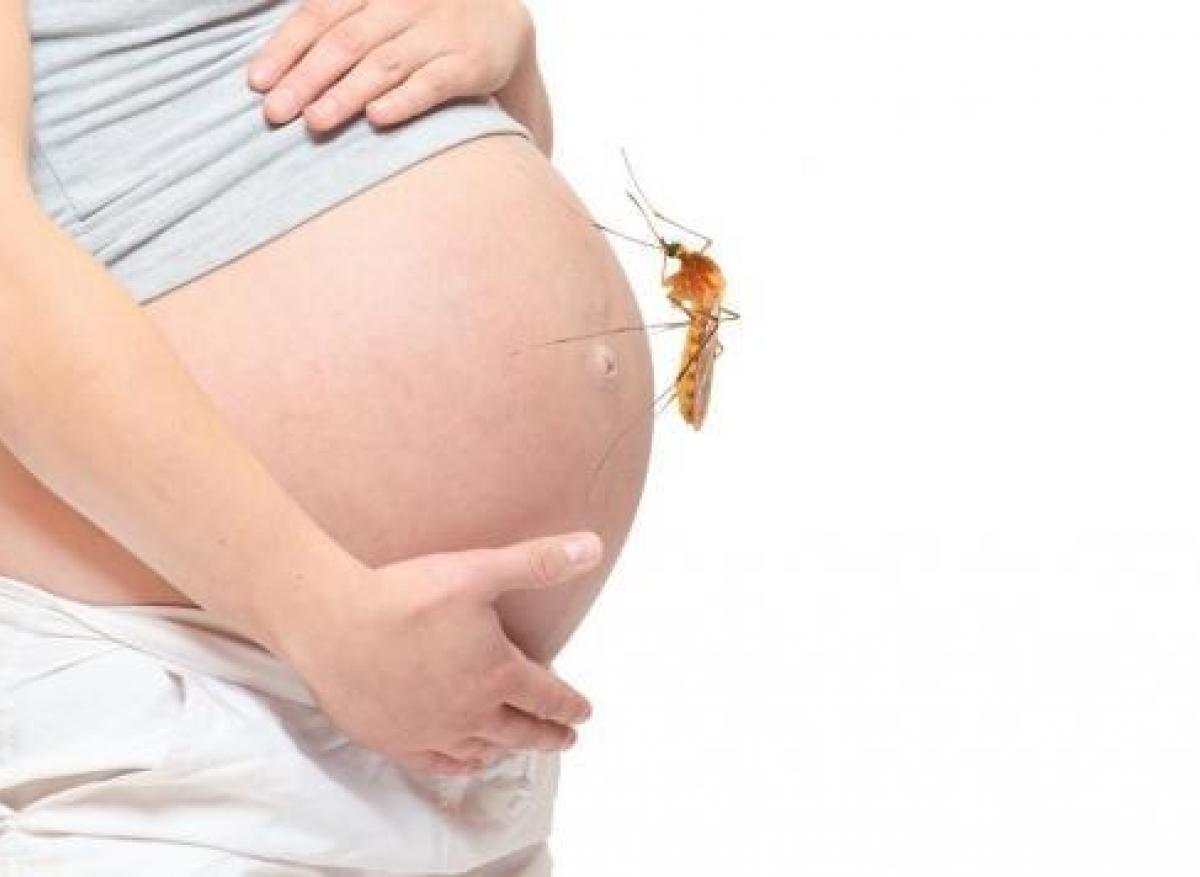 Zika : retard de développement chez les bébés exposés au virus