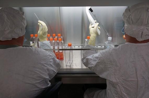 Zika : un nouveau vaccin assure une protection totale chez le singe