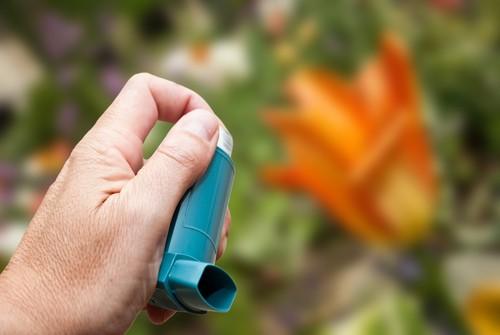 Asthme allergique : la désensibilisation réduit les exacerbations