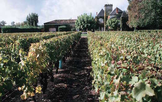 Pesticides : clivages et affrontements dans le vignoble bordelais
