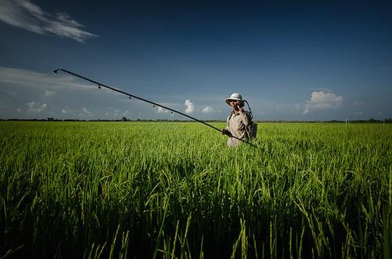 Pesticides : les médecins dénoncent l’explosion des pathologies