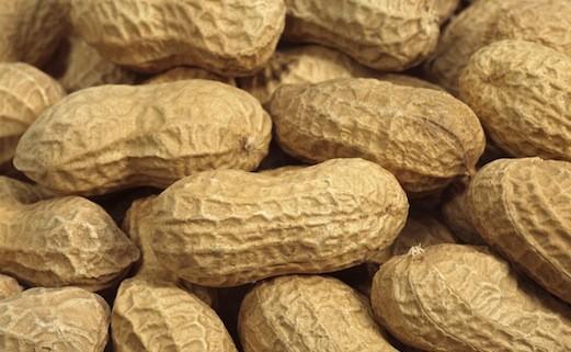 Allergie à l’arachide : l’éviction alimentaire remise en cause