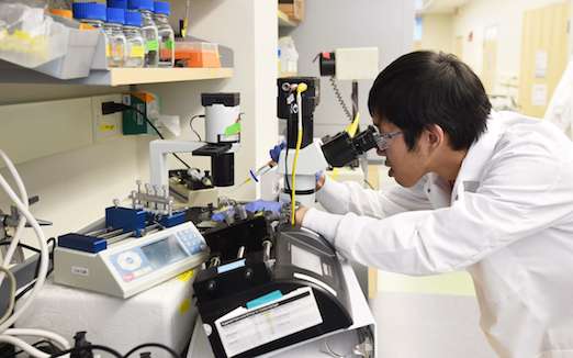 Cancer : 2 cas sur 3 sont-ils vraiment imputables à la malchance ?