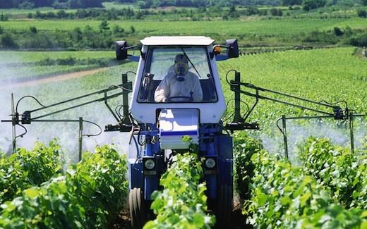 Pesticides : le rôle des médecins dans la prévention des risques